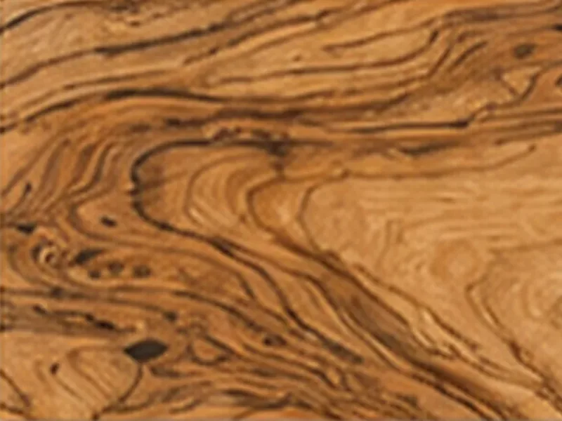 Олива